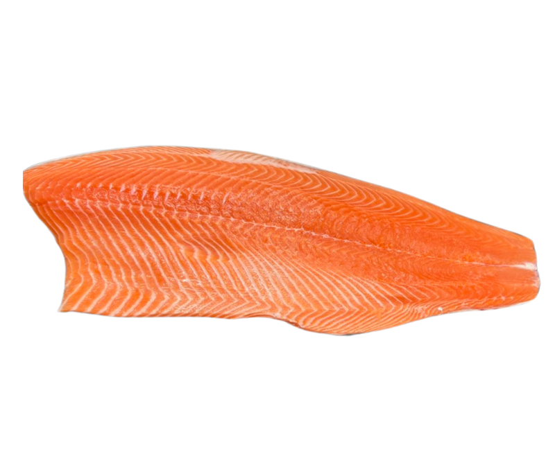 Canadian Salmon