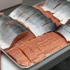 Fresh Caught Salmon