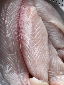 Lean Fish, Sweet, Firm White Flesh